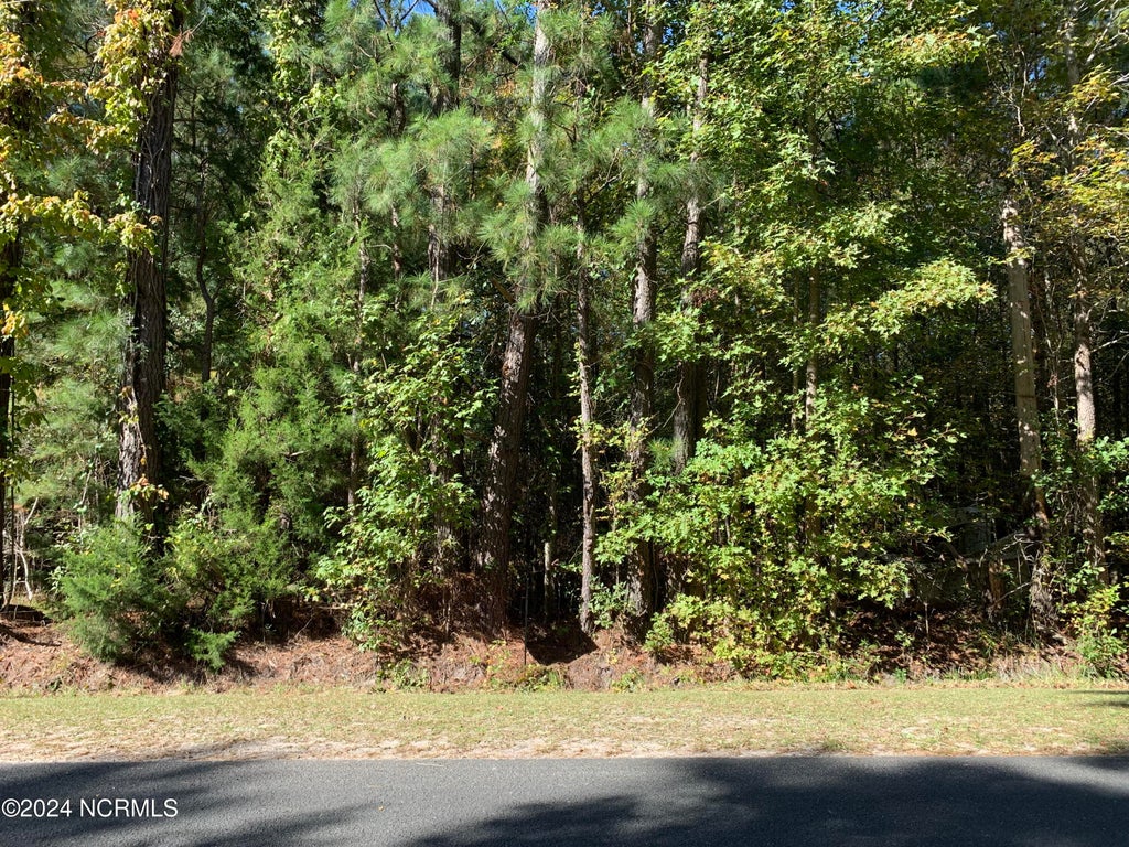 Photo of Lot G Tobes Road, Bolivia, NC 28422 (MLS # 100604971)