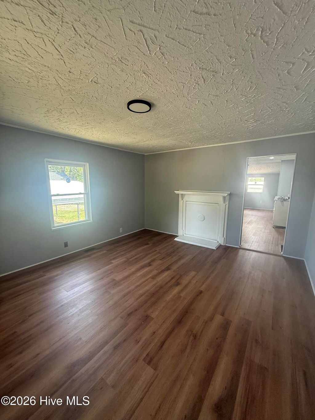 Photo of 17761 Saint Johns Church Road, Laurel Hill, NC 28351 (MLS # 100565284)