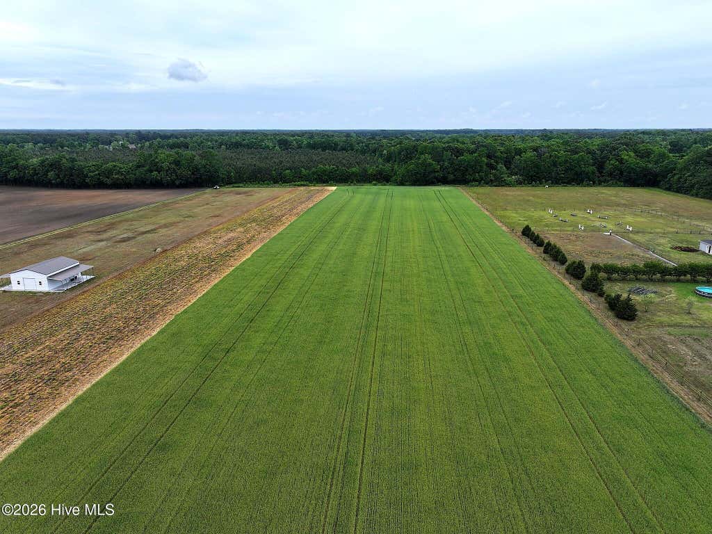 Photo of 4140 Seth West Road, Dover, NC 28526 (MLS # 100592986)