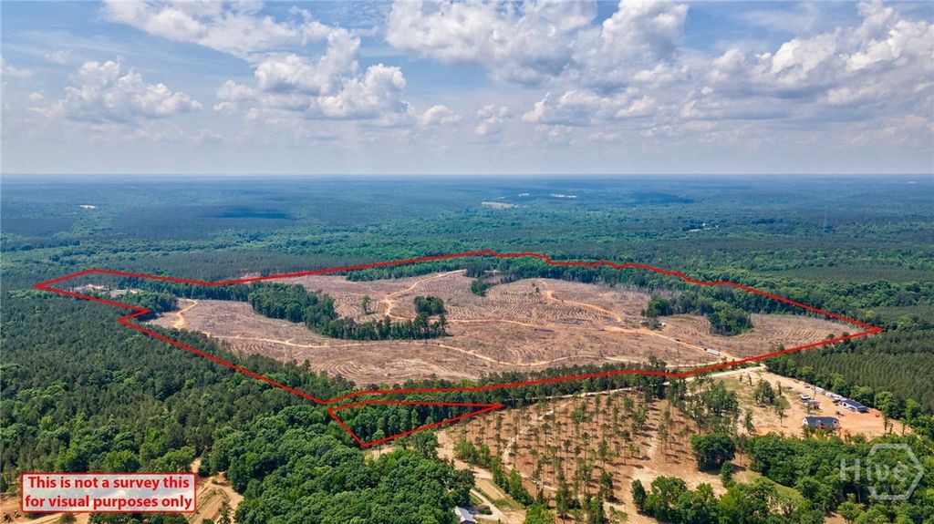 Photo of 0 Gene Smith Road, Carlton, GA 30627 (MLS # CL357025)