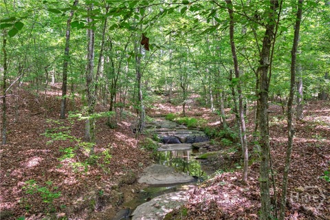 Vacant Land For Sale - Gene Smith Road<br/> Carlton, GA 30627