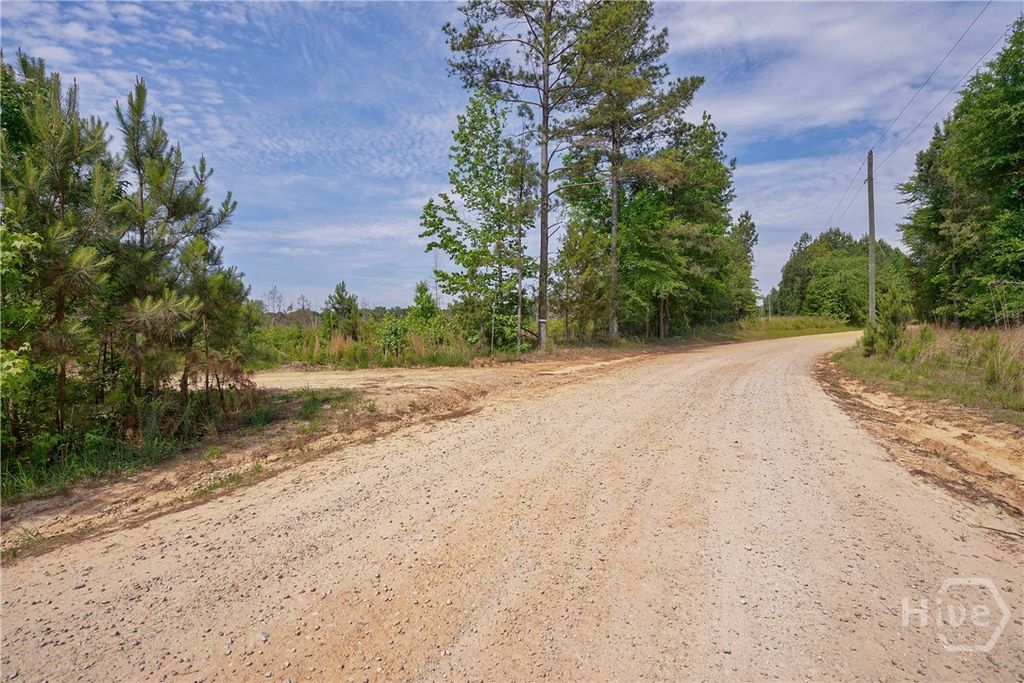 Photo of 0 Gene Smith Road, Carlton, GA 30627 (MLS # CL357025)