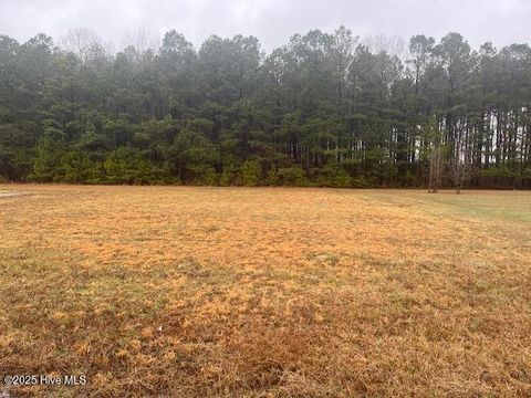 Vacant Land For Sale - 0000 Hillside Drive<br/> Northampton County, Rich Square, NC 27869