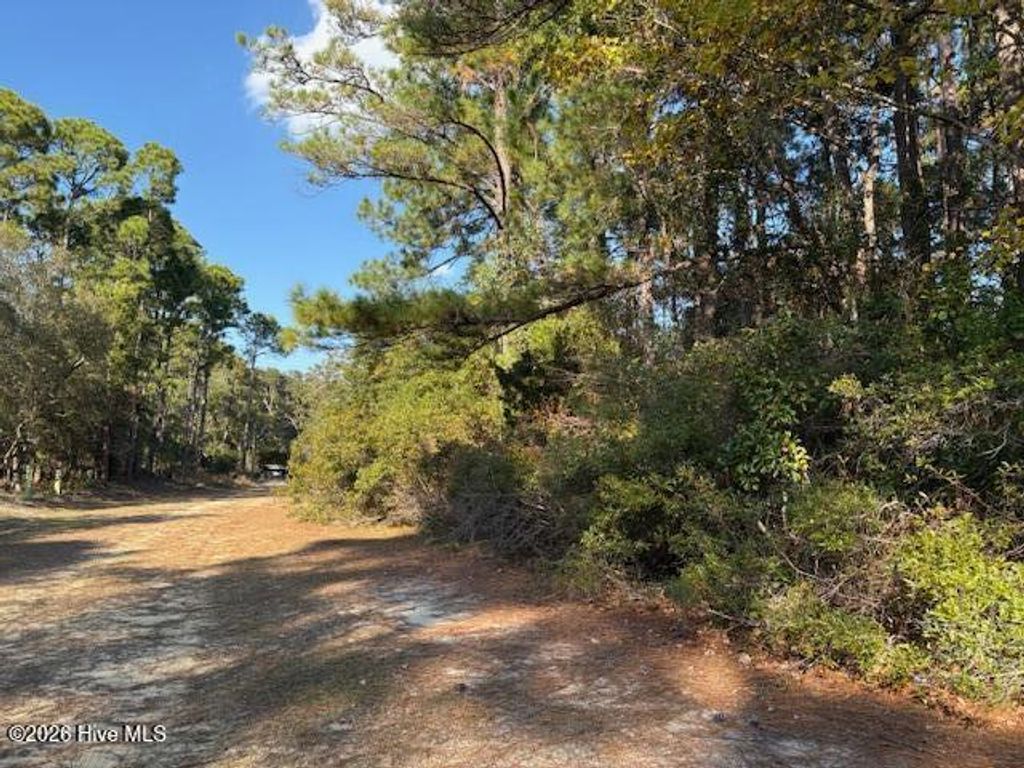 Photo of 2280 Hoffman Road SW, Supply, NC 28462 (MLS # 100549283)