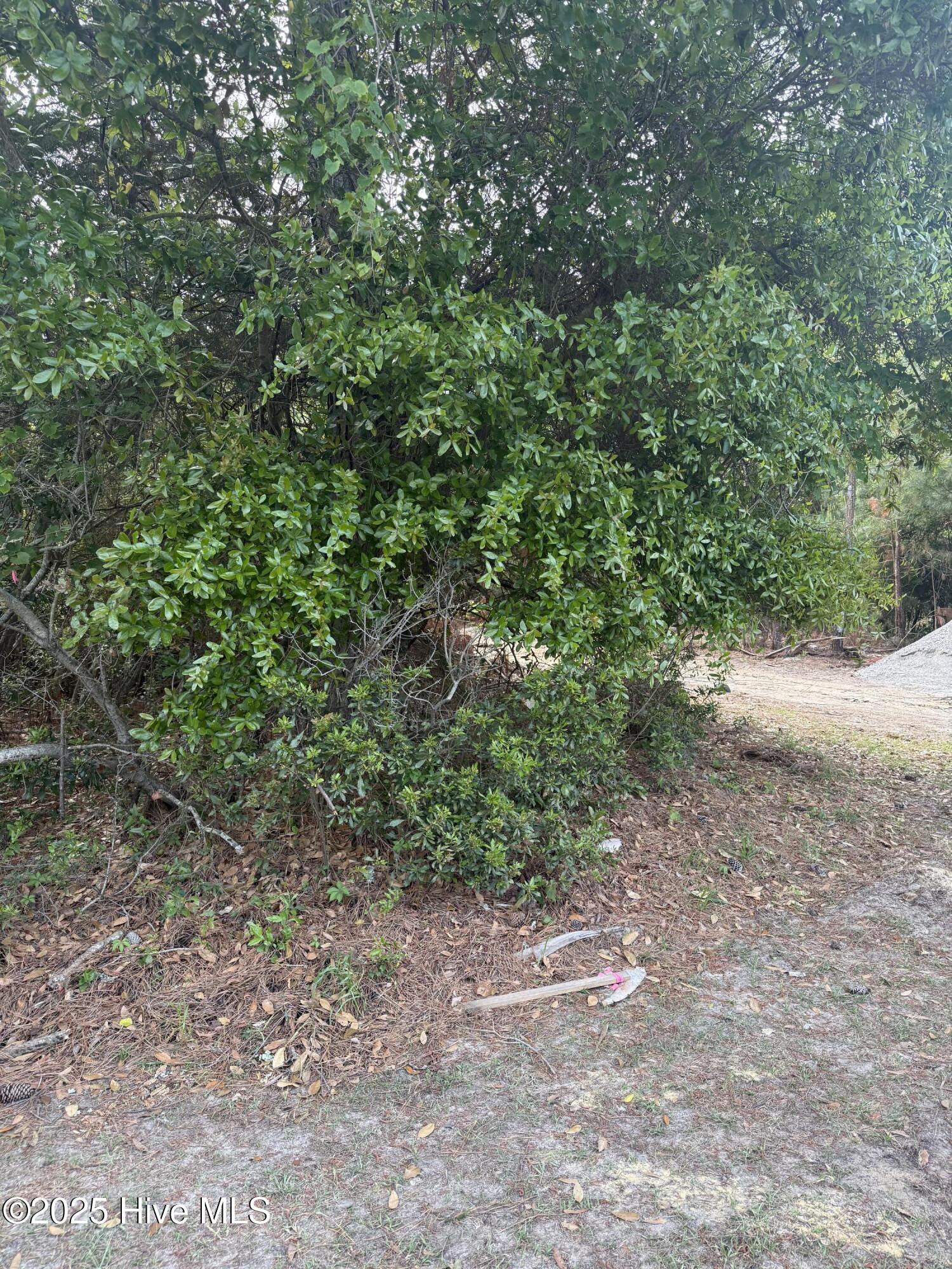 202 138 Shipwreck Lane