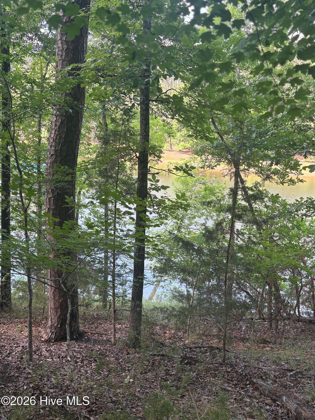 Photo of 565 Overlook Point, McCormick, SC 29835 (MLS # 100574810)