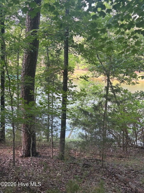 Vacant Land For Sale - L5 BL65 Overlook Point<br/> McCormick, SC 29835
