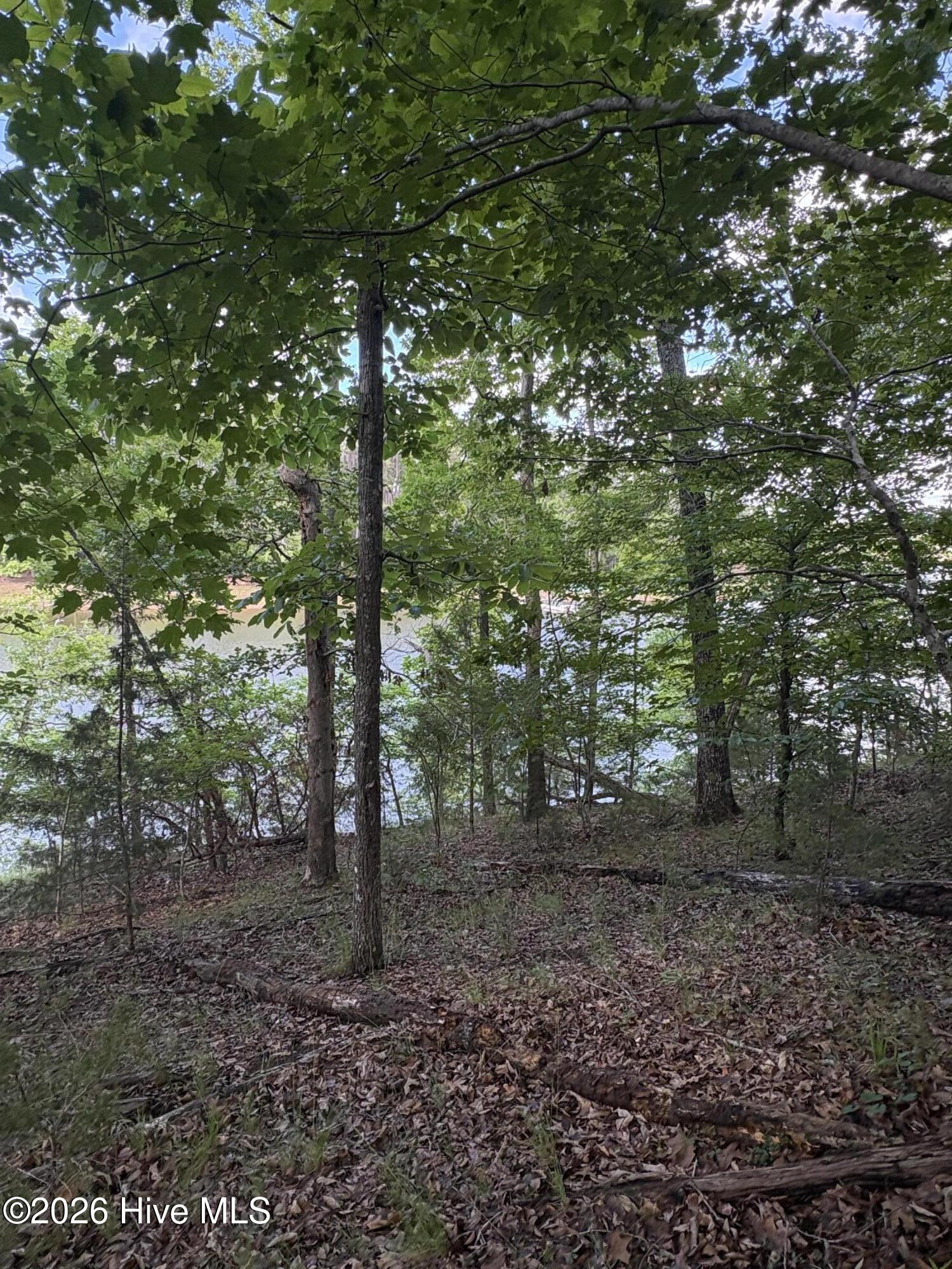 L5 Bl65 Overlook Point