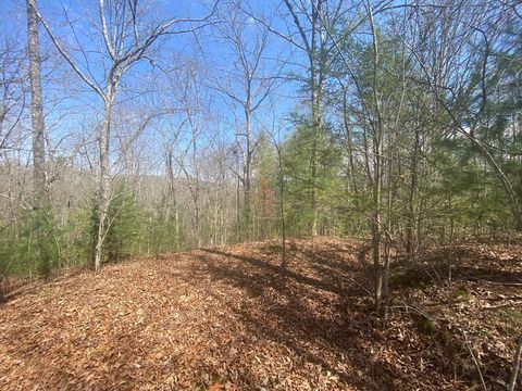 Vacant Land For Sale - Hilltop Road<br/> Murphy, NC 28906