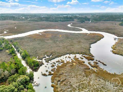 Vacant Land For Sale - 193 Burton Road<br/> Chatham County, Savannah, GA 31405