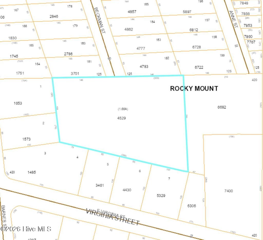 Photo of 1198 Beckman Street, Rocky Mount, NC 27801 (MLS # 100556085)