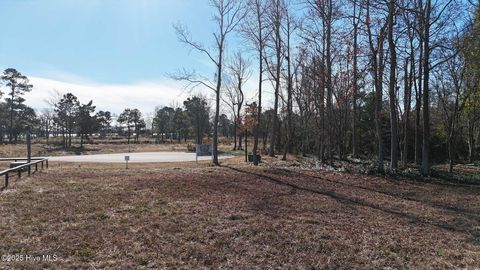 Tiny photo for 406 Salt Meadow Court, Holly Ridge, NC 28445 (MLS # 100545543)