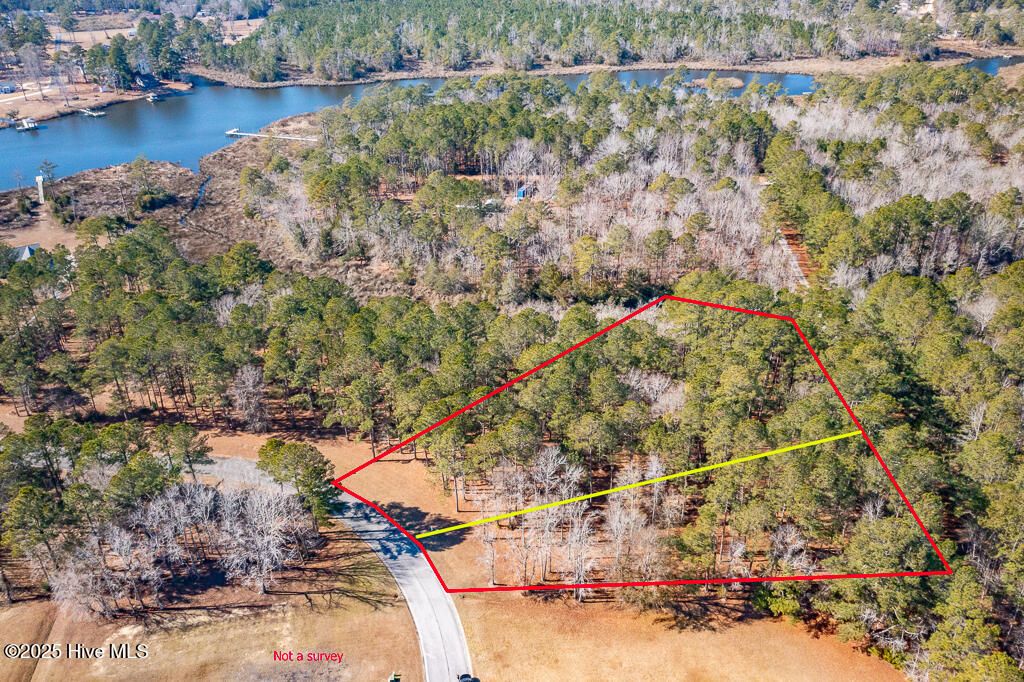 Photo of 831 Southern Plantation Drive N, Oriental, NC 28571 (MLS # 100485370)