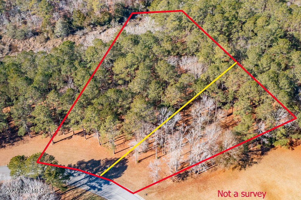 Photo of 831 Southern Plantation Drive N, Oriental, NC 28571 (MLS # 100485370)