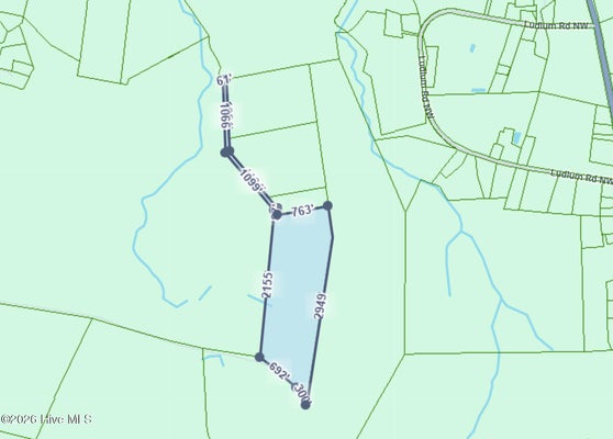 50.2 AC NEAR LONGWOOD ROAD, ASH, NC 28420 - Image bdb012b7eeb68aab77dfe08eb50dd636/1886476133