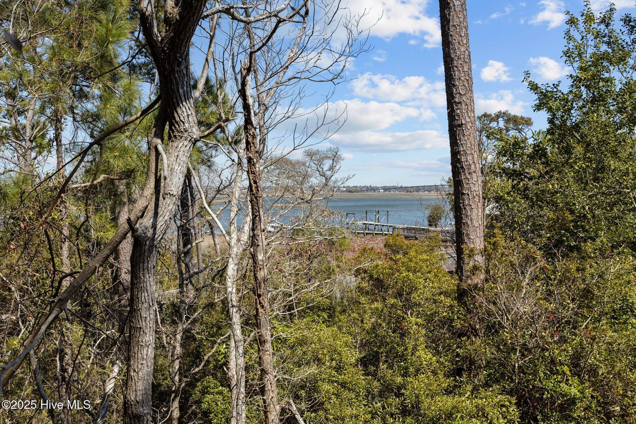 9814 31 Clarendon Drive