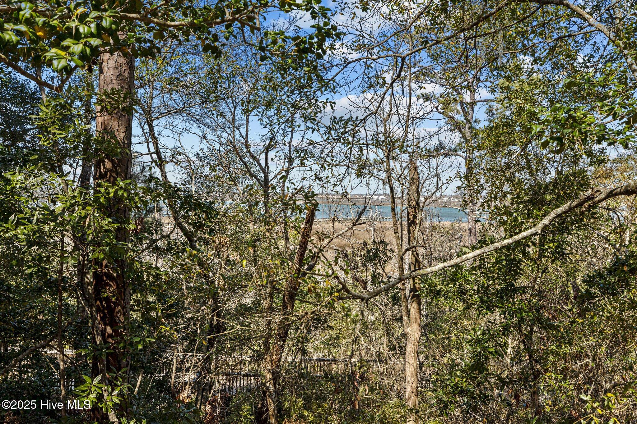 9814 31 Clarendon Drive