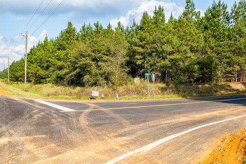 Vacant Land For Sale - 00 Edgefield Road<br/> Trenton, SC 29847