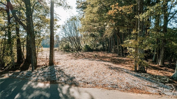 6 LAKEVIEW DR, WINTERVILLE, GA 30683 - Image bdd23fce059e35de1df4c2a05a746f61/148711405