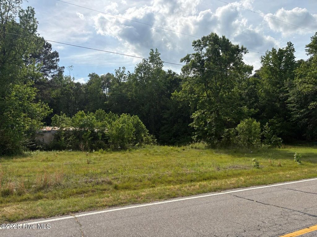 Photo of 13261 Old Mccoll Road, Gibson, NC 28343 (MLS # 100570707)