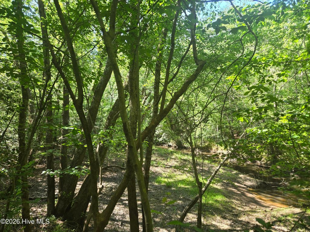 Photo of 234 Circle Drive, Vass, NC 28394 (MLS # 100590916)