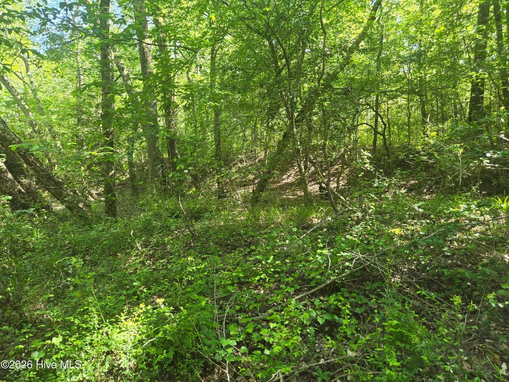 Photo of 234 Circle Drive, Vass, NC 28394 (MLS # 100590916)