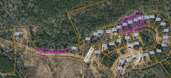 234 CIRCLE DR, VASS, NC 28394 - Image bdfb2522a23ce4cd1d1eaac17ec6bdff/450248085