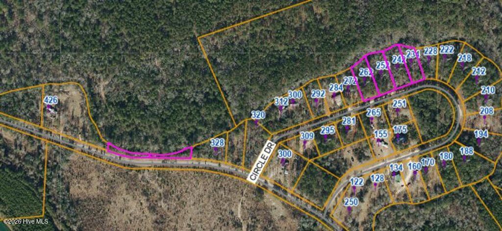 Photo of 234 Circle Drive, Vass, NC 28394 (MLS # 100590916)