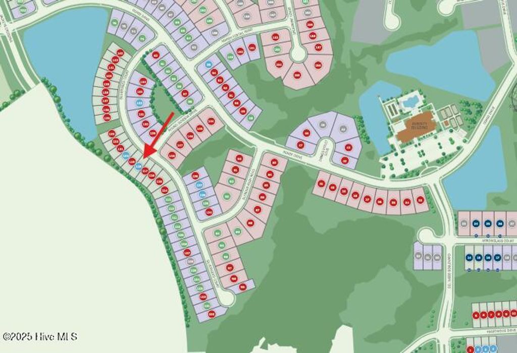 Photo of 2672 Silverweed Court #118, Leland, NC 28479 (MLS # 100527749)