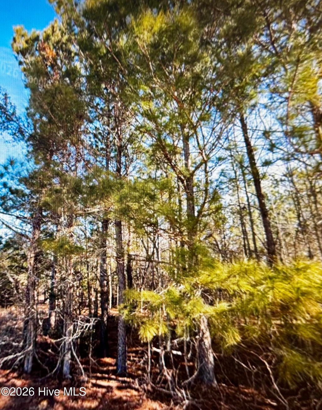 Photo of 285 Dodge Point Drive, Pinetops, NC 27864 (MLS # 100585255)