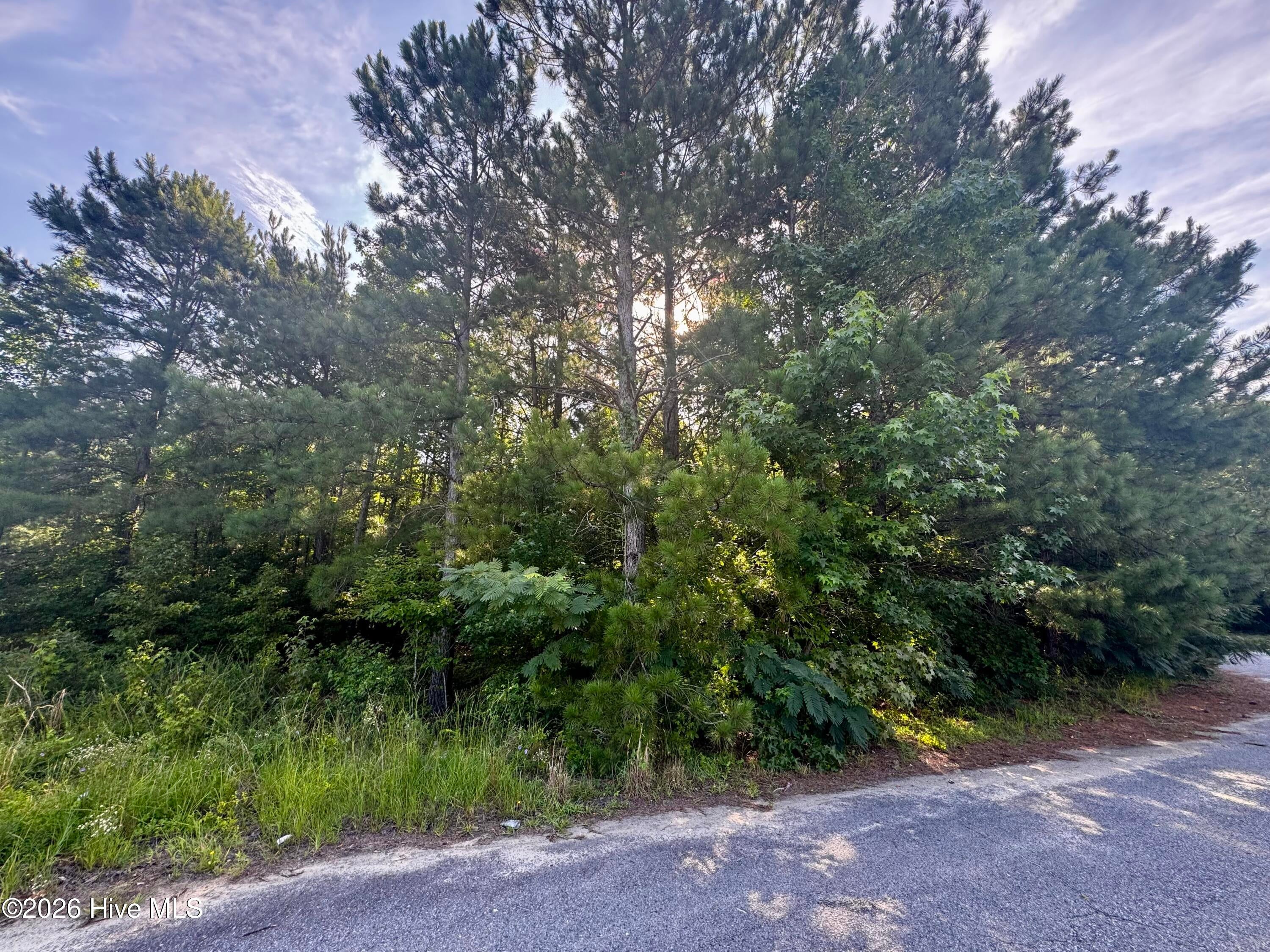 285 Dodge Point Drive, Pinetops, NC, 27864