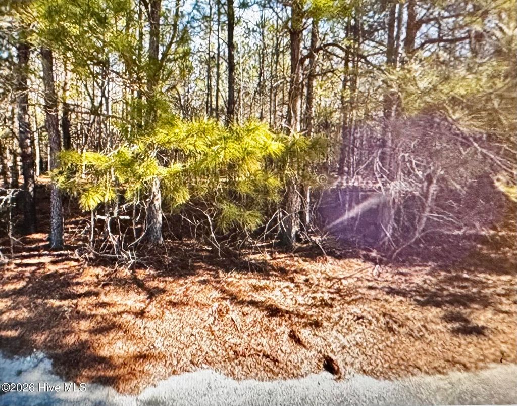 Photo of 285 Dodge Point Drive, Pinetops, NC 27864 (MLS # 100585255)