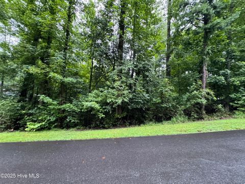 Vacant Land For Sale - LOT 309 Holiday Drive<br/> Troy, NC 27371