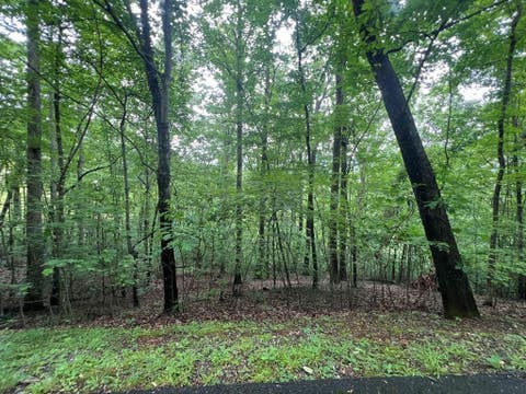 Vacant Land For Sale - Ash Branch Circle<br/> Hayesville, NC 28904