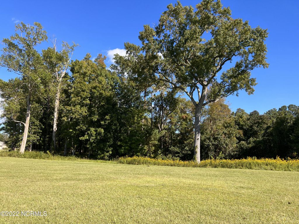 Photo of 78 Morning Side Drive S, Arapahoe, NC 28510 (MLS # 100353053)