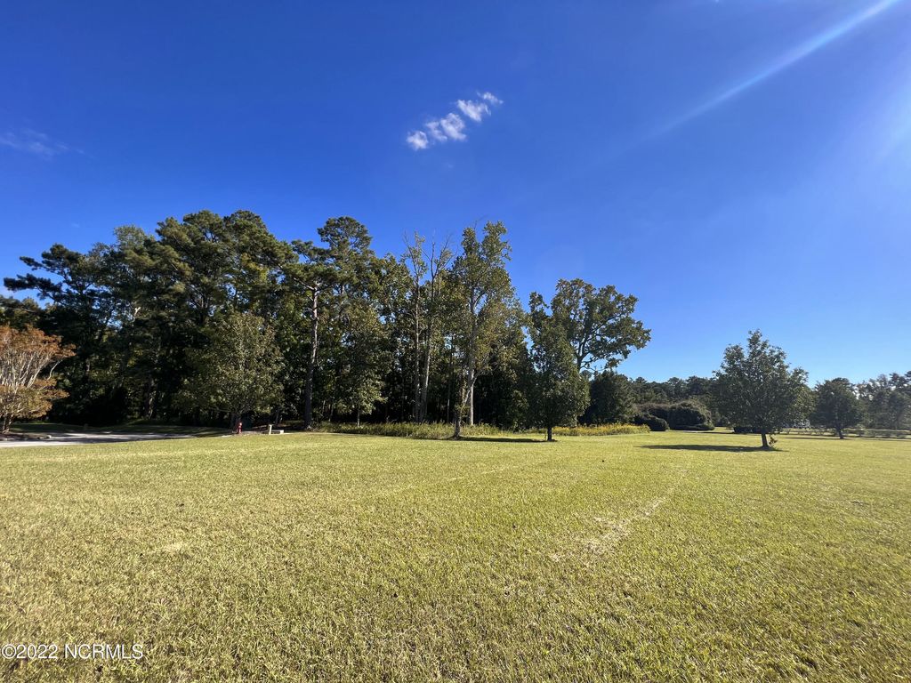Photo of 78 Morning Side Drive S, Arapahoe, NC 28510 (MLS # 100353053)