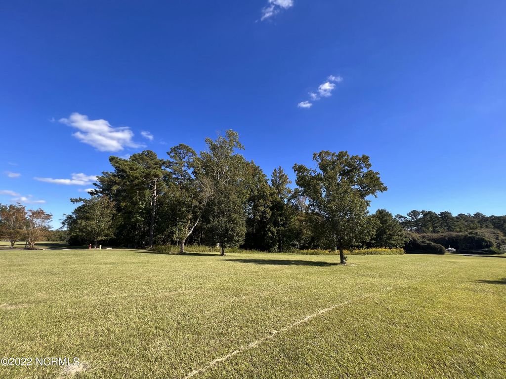 Photo of 78 Morning Side Drive S, Arapahoe, NC 28510 (MLS # 100353053)