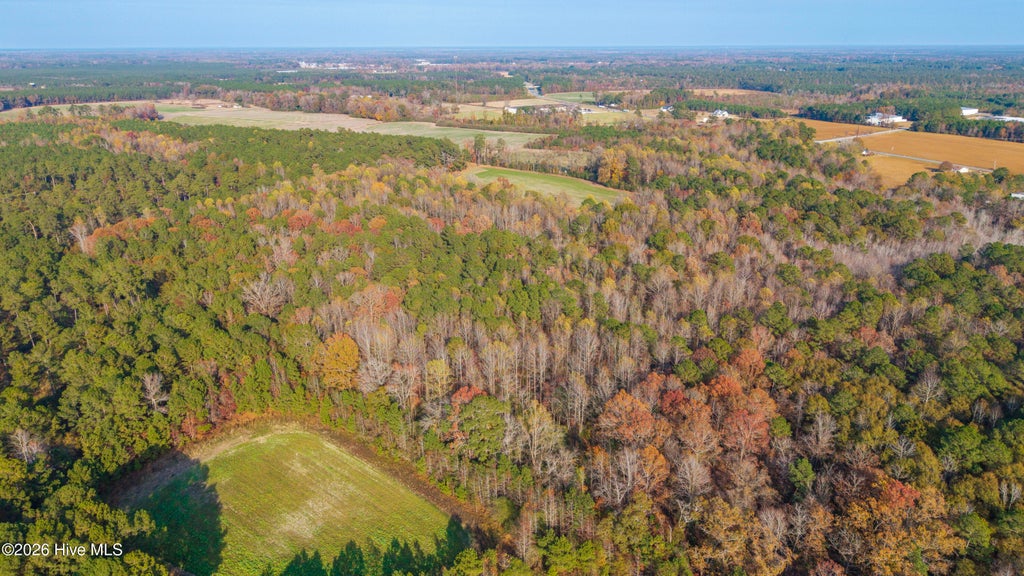 Photo of 415 High School Road, Teachey, NC 28464 (MLS # 100604465)