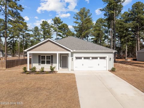 Homes For Sale - 264 Flying Bolt Drive<br/> Hoke County, Raeford, NC 28376
