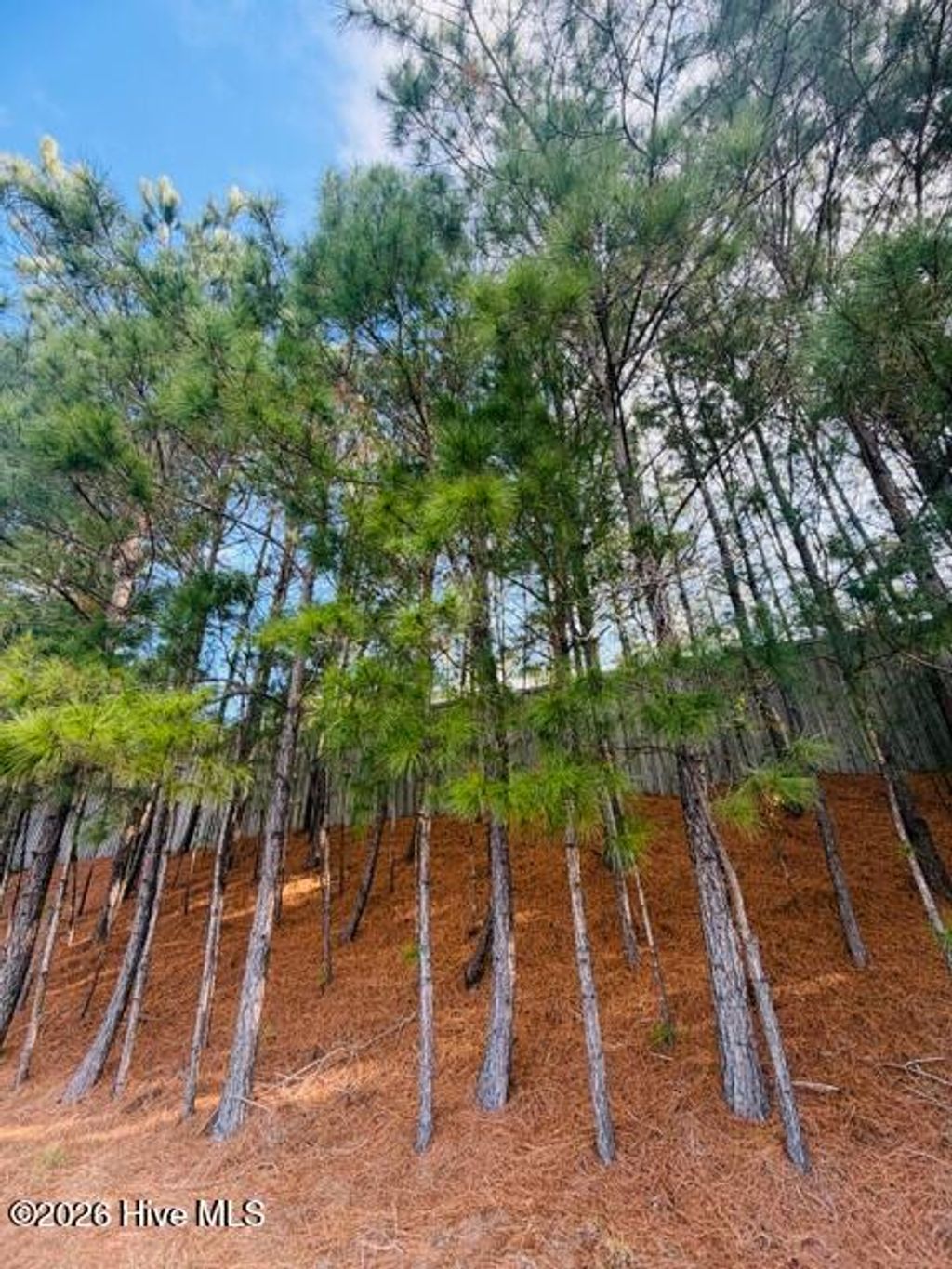 Photo of 2181 Palm Pointe NE, Leland, NC 28451 (MLS # 100548778)