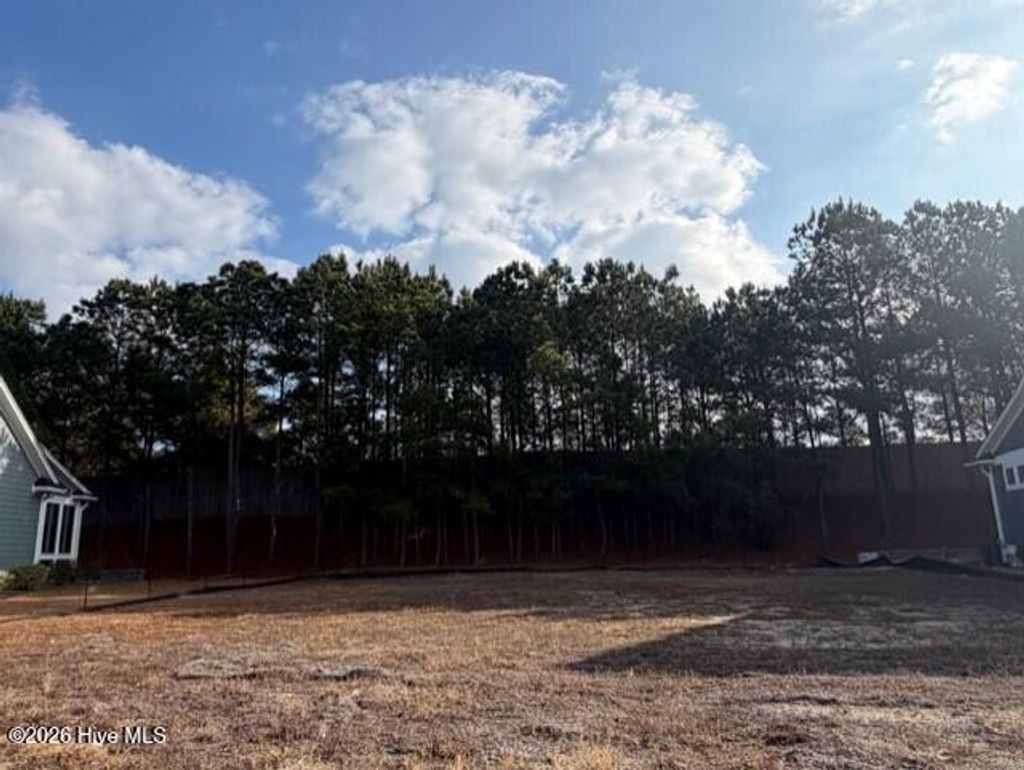 Photo of 2181 Palm Pointe NE, Leland, NC 28451 (MLS # 100548778)