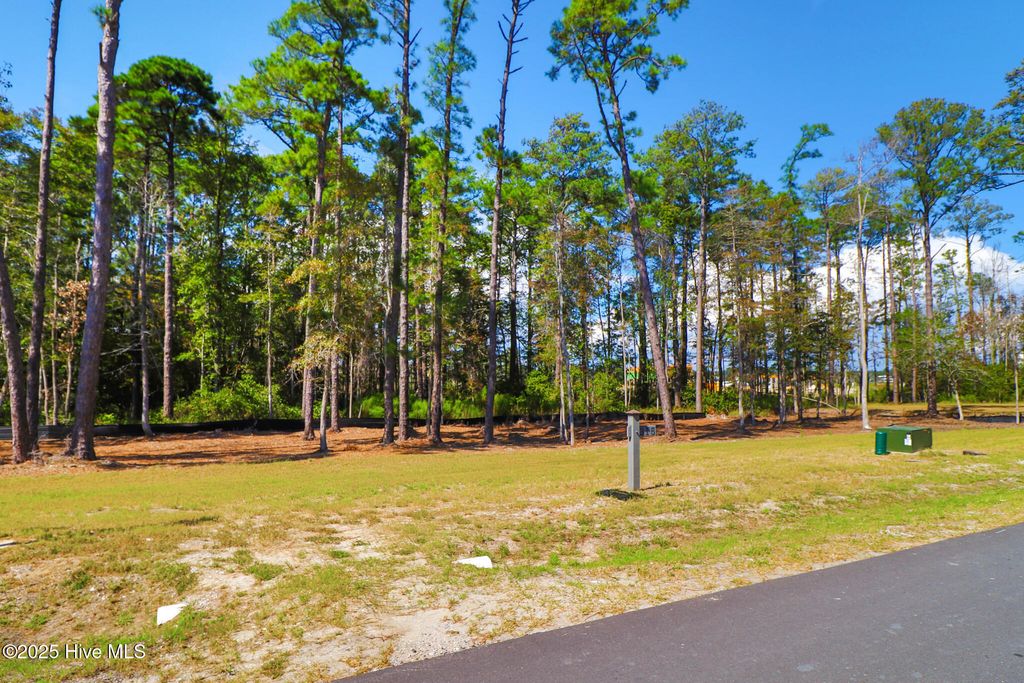 Photo of 501 Freedom Park Road, Beaufort, NC 28516 (MLS # 100536228)
