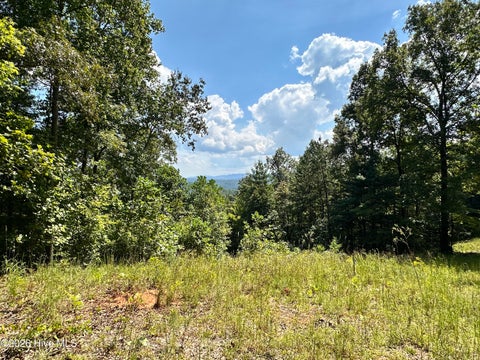 Vacant Land For Sale - 872 Majestic Mountain Trail<br/> Murphy, NC 28906