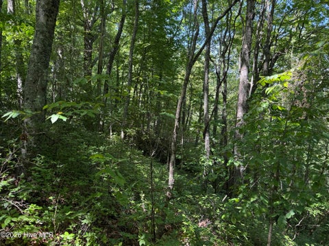 Vacant Land For Sale - LOT 2 Amber Lane<br/> Topton, NC 28781