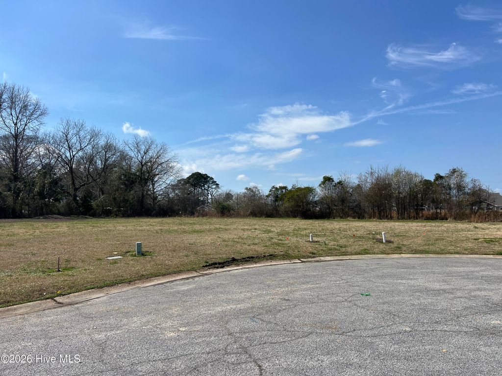 Photo of 304 Cottonfield Court, Ayden, NC 28513 (MLS # 100558674)