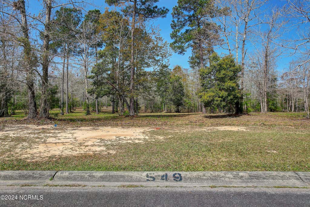 Photo of 549 Sanctuary Point SW, Supply, NC 28462 (MLS # 100578928)