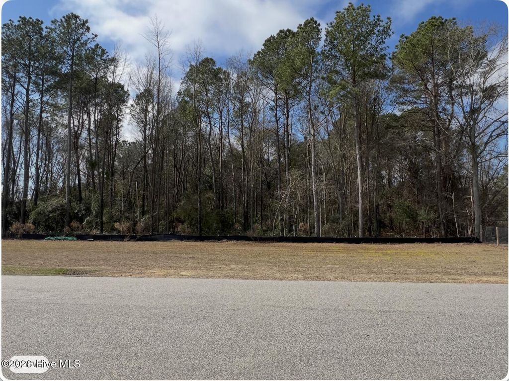 Photo of 0 Pierce Street, Clinton, NC 28328 (MLS # 100557458)