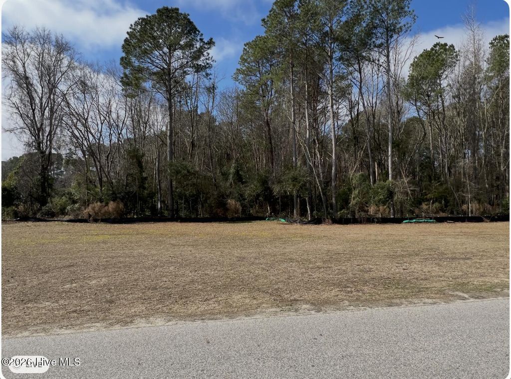 Photo of 0 Pierce Street, Clinton, NC 28328 (MLS # 100557458)