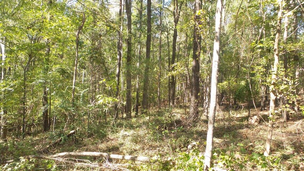 Photo of 0 Kelly Street, Lincolnton, GA 30817 (MLS # 550215)