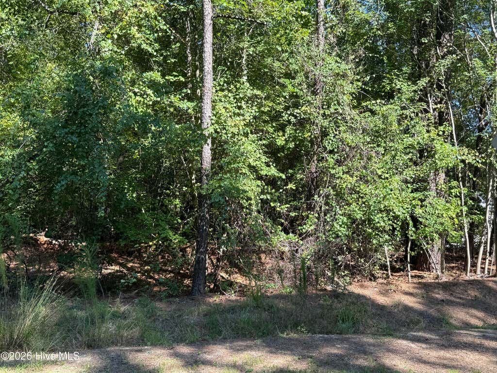 Photo of 7657 Main Street, West End, NC 27376 (MLS # 100598896)